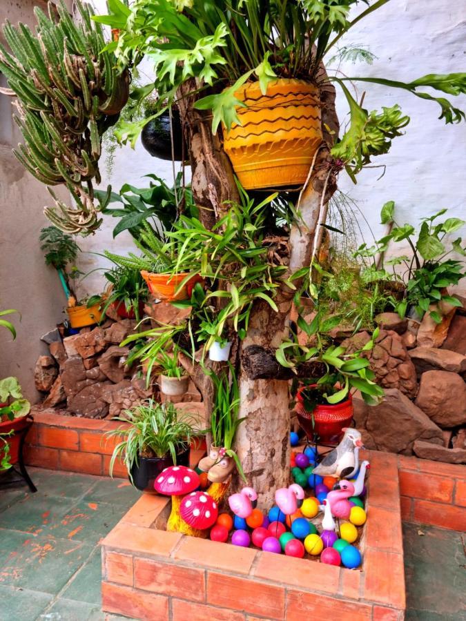 Hostal Jardin De Luque サン・ロレンソ エクステリア 写真