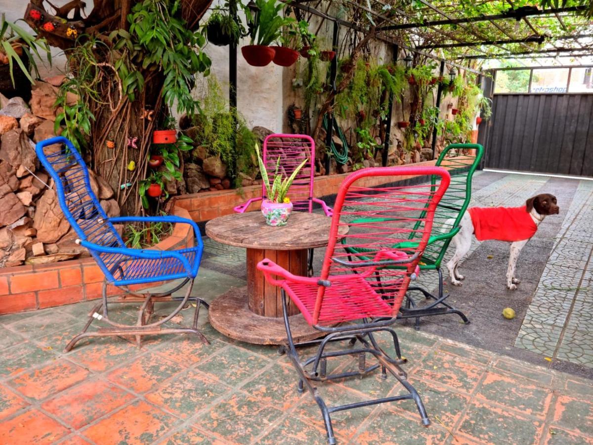 Hostal Jardin De Luque サン・ロレンソ エクステリア 写真